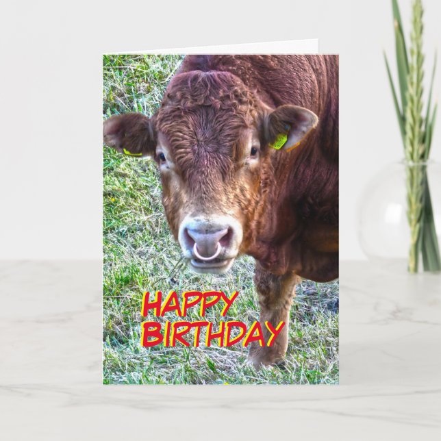 Carte Anniversaire de Bull (Devant)