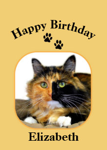 Invitations Faire Part Cartes Anniversaire Blanc Chat Zazzle Fr