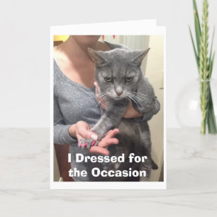 Carte Anniversaire de Chat en Colère