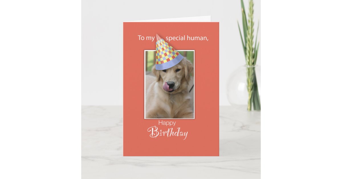 Carte Anniversaire De Chien A L Humain Humour Orange Zazzle Fr Carte Anniversaire De Chien A L Humain Humour Orange Zazzle Fr