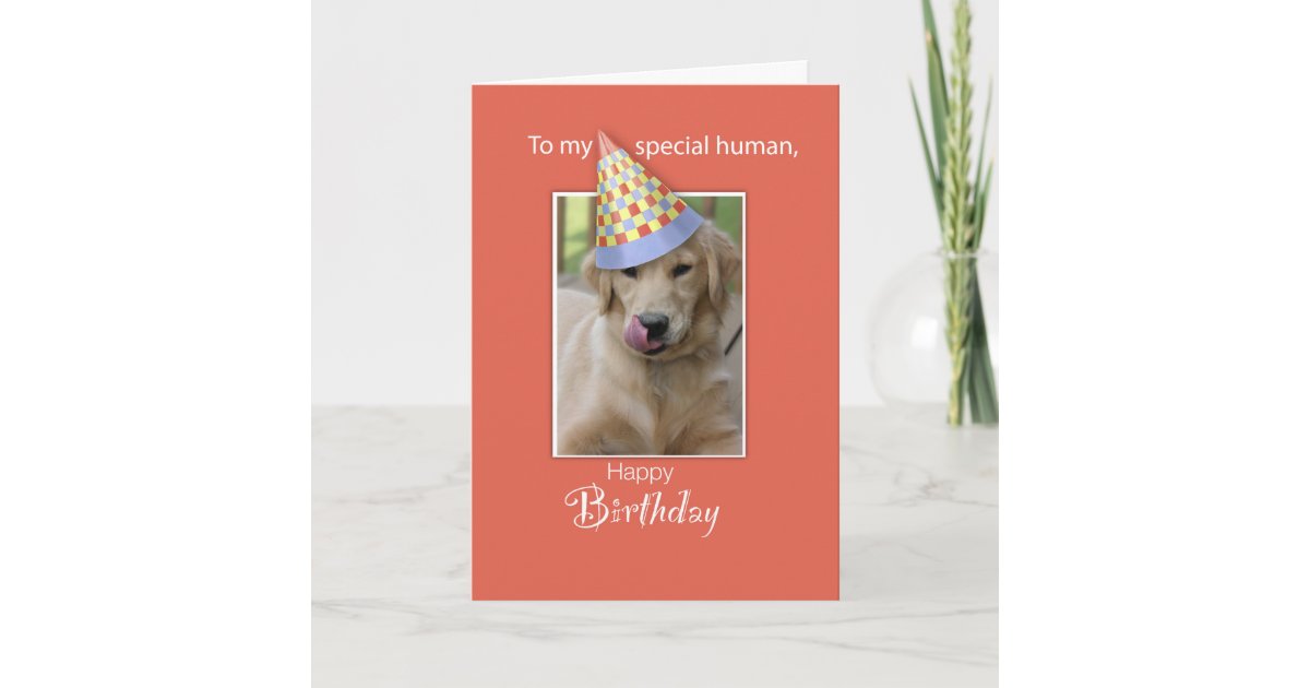 Carte Anniversaire De Chien A L Humain Humour Orange Zazzle Fr