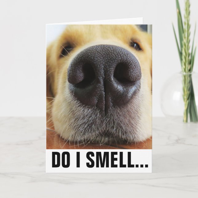 CARTE ANNIVERSAIRE DE CHIENS AMUSANTS, GÂTEAU D'ANNIVERS (Devant)