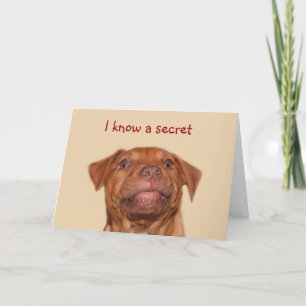 Carte Anniversaire de chiot de Pitbull