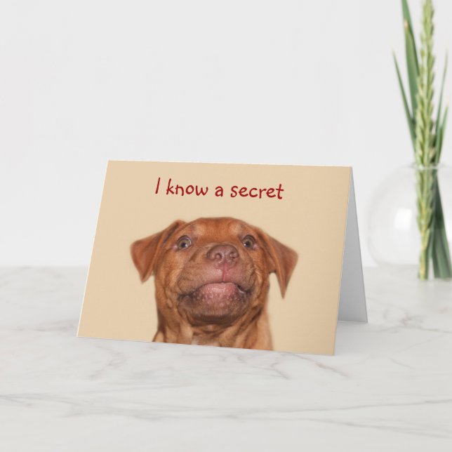 Carte Anniversaire de chiot de Pitbull (Devant)