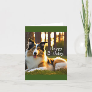 Carte Anniversaire de Collie Dog