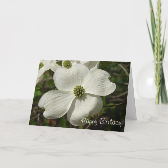 Carte Anniversaire de cornouiller (Devant)