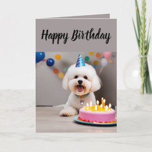 Carte Anniversaire de Cute Bichon Frisé