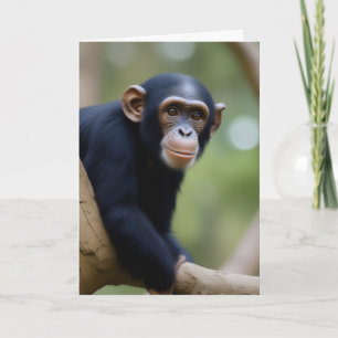 Carte Anniversaire de Cute Chimp