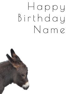 Cadeaux Anniversaire Poulain Zazzle Fr Cadeaux Anniversaire Poulain Zazzle Fr