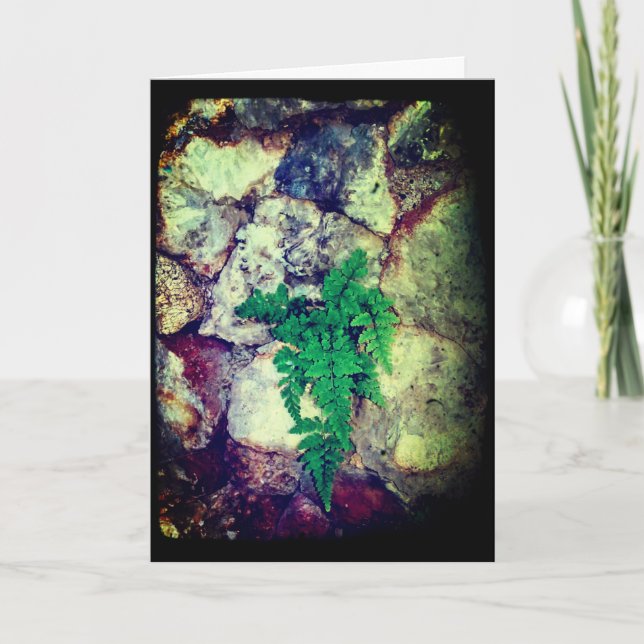 Carte Anniversaire de Fern et Geodes (Devant)