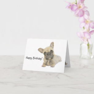 Carte Anniversaire de Frenchie