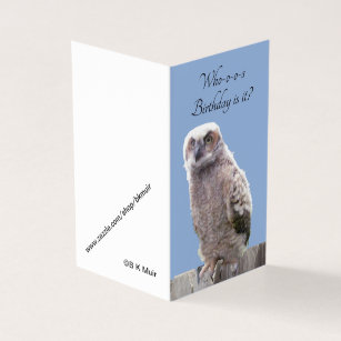 Cartes De Vœux Bec Hibou Zazzle Fr