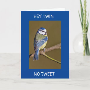 CARTE ANNIVERSAIRE DE JUMEAUX - PAS DE TWEETS DE CET OIS