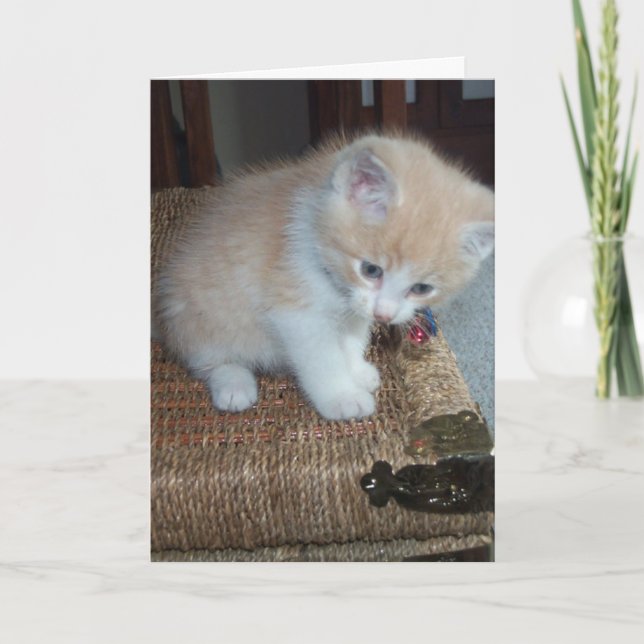 Carte Anniversaire de Kitty (Devant)