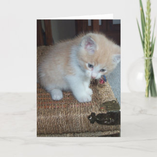 Carte Anniversaire de Kitty