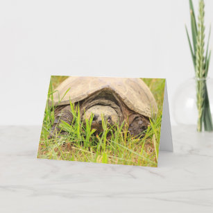 Carte Anniversaire de la faune de la tortue Snapping