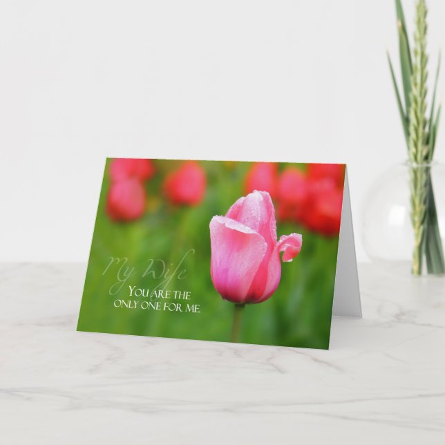 Carte Anniversaire De La Femme Avec Tulipe Rose (Devant)