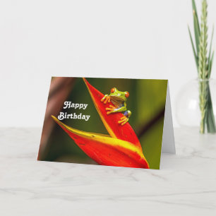 Carte Anniversaire de la grenouille des arbres rouges