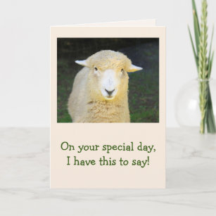 Cadeaux Joyeux Anniversaire A La Brebis Zazzle Fr