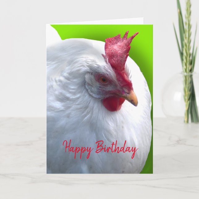Carte Anniversaire de la Poule Blanche (Devant)