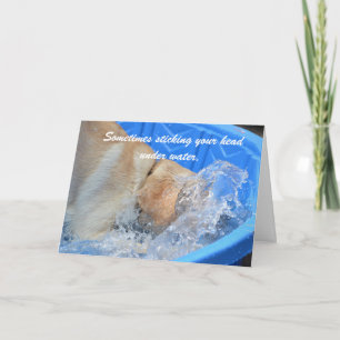 Carte Anniversaire de la vieillesse