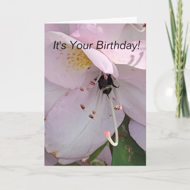Carte Anniversaire de l'abeille (Devant)