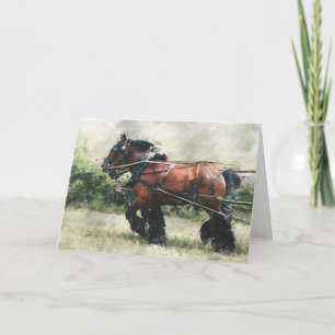 Carte Anniversaire de l'équipe de cheval