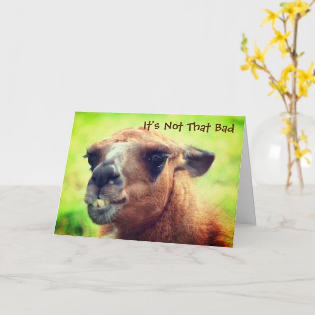 Carte Anniversaire de Llama en colère (Fleur jaune)