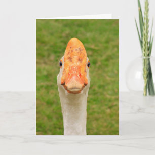 Carte Anniversaire de l'oie sotte
