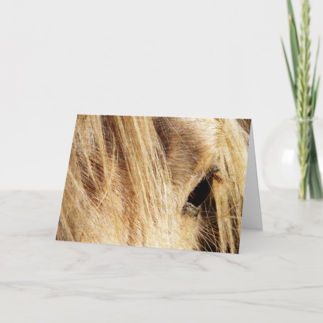 Carte Anniversaire de Mane Messy (Devant)