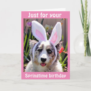 CARTE ***ANNIVERSAIRE DE PÂQUES*** J'AI RETIRÉ MES OREIL