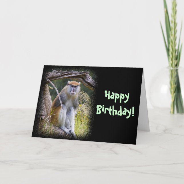 Carte Anniversaire de Patas Monkey (Devant)