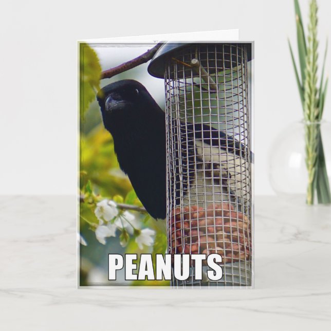 Carte Anniversaire De Pâtes Ou De Gâteaux (Devant)