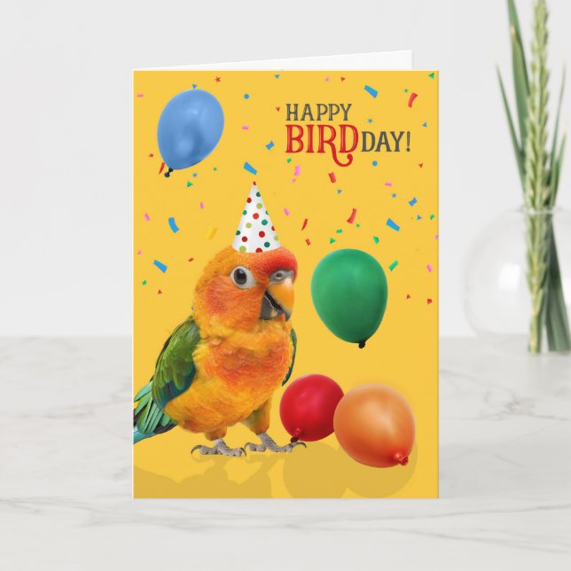 Carte Anniversaire de Perruche Solaire Drôle (Devant)