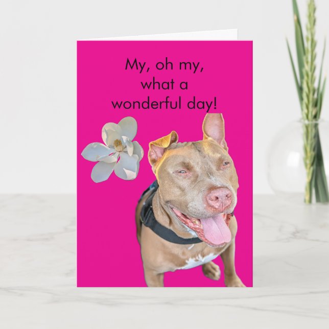 Carte Anniversaire de Pit Bull souriant (Devant)