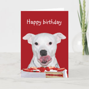 Carte Anniversaire de Pit Bull Terrier