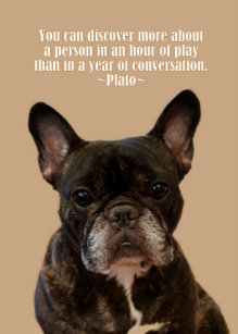 Cadeaux Bouledogue Francais Joyeux Anniversaire Zazzle Fr Cadeaux Bouledogue Francais Joyeux Anniversaire Zazzle Fr