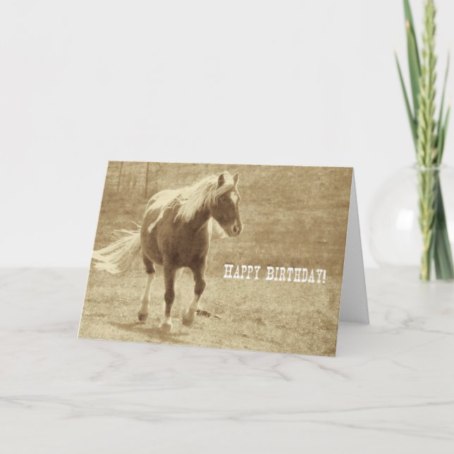 Carte Anniversaire de Poney Pinto Sépia (Devant)