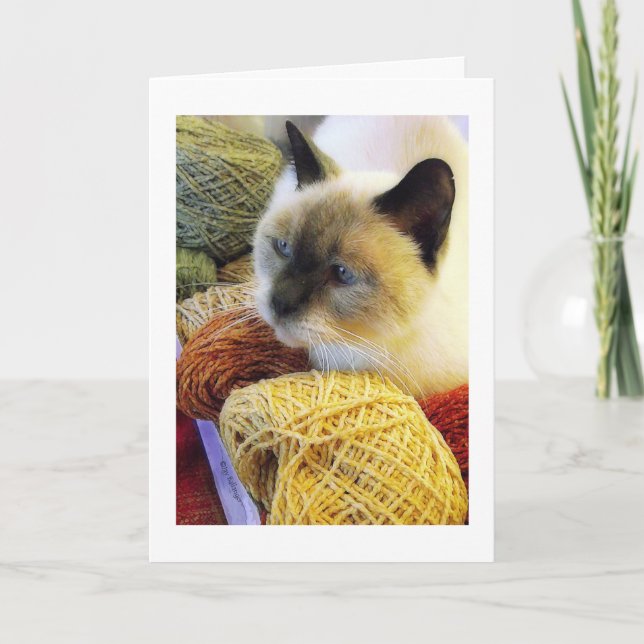 Carte Anniversaire de Purrfect, chat siamois en fil (Devant)