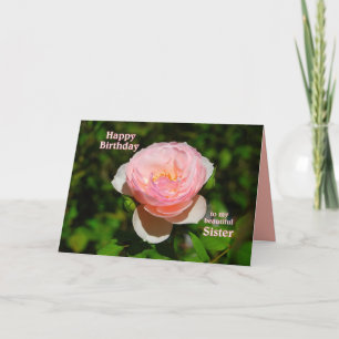 Carte Anniversaire de rose de rose joyeux à la soeur