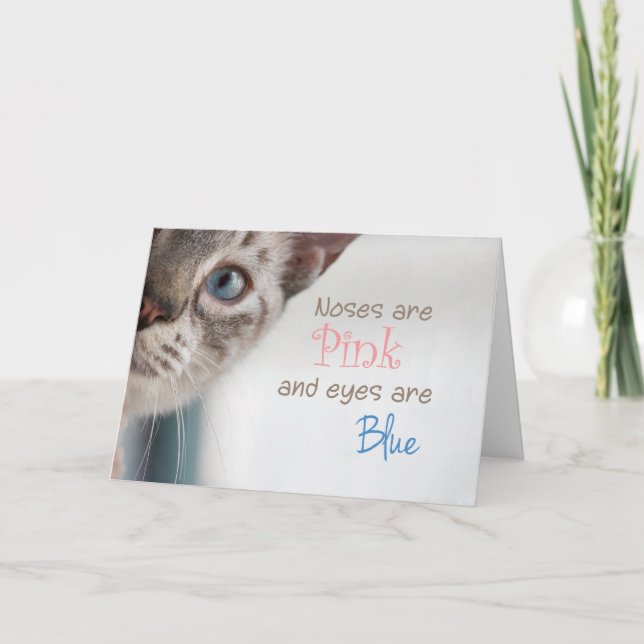 Carte Anniversaire de Siamese (Devant)