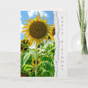 Carte Anniversaire de tournesol d'été