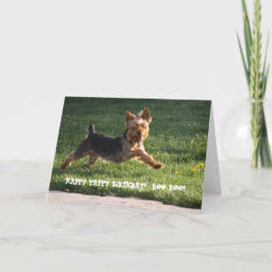 CARTE ANNIVERSAIRE DE YORKIE