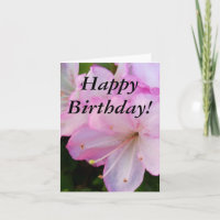 Anniversaire des Azalées roses