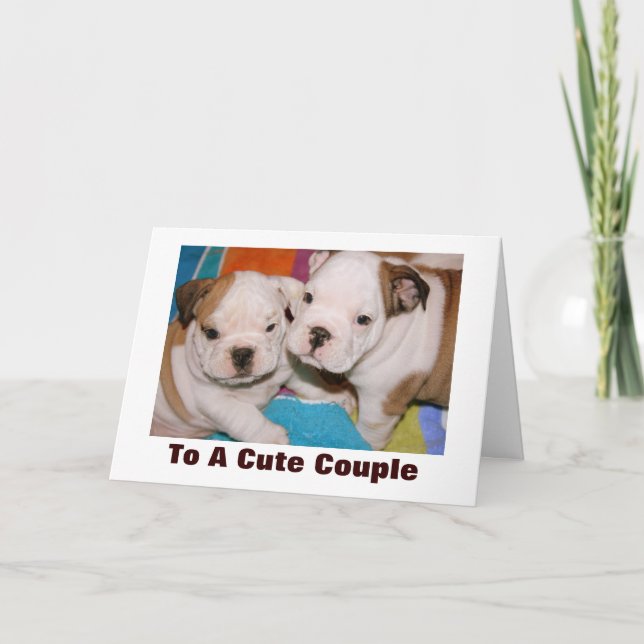 Carte Anniversaire des Chiens de taureau anglais mous Co (Devant)