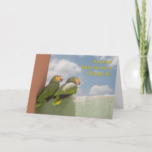 Carte Anniversaire des mouches du temps