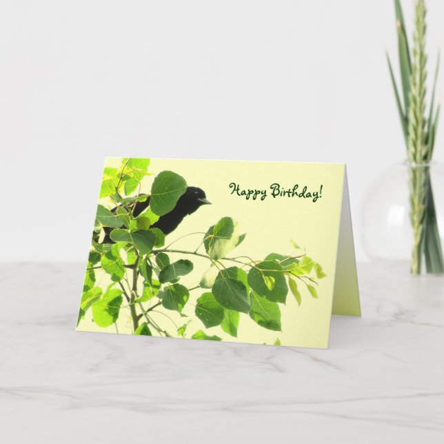 Carte Anniversaire des oiseaux noirs (Devant)
