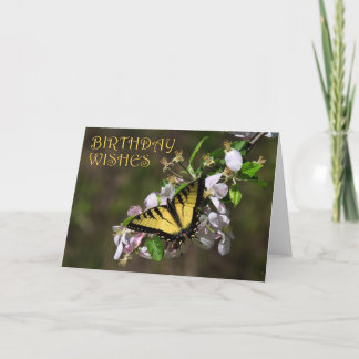 Carte Anniversaire des papillons 1