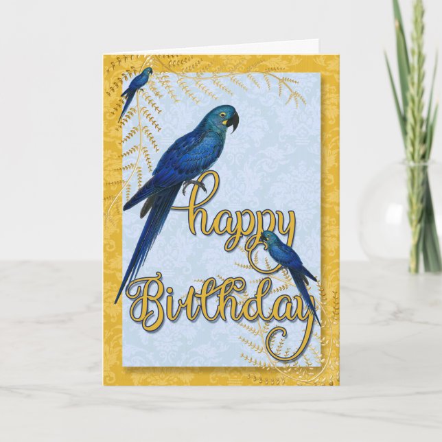 Carte Anniversaire des perroquets macaw Vintages (Devant)