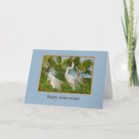 Anniversaire, deux grands oiseaux d'aigrettes